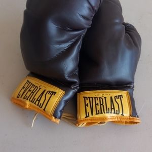 Vintage EVERLAST Boxing Gloves #2924 • Brown